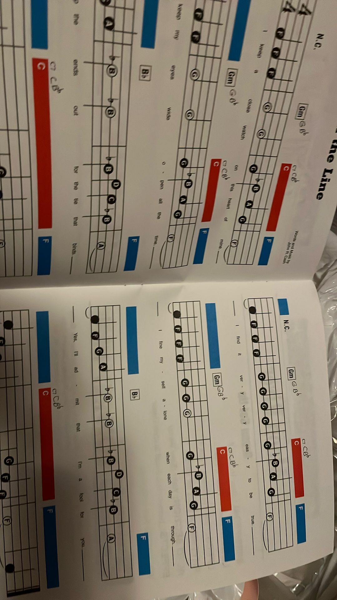 Beginener Music Book Learn Fast For 2.00