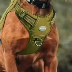Dog Harness For Sale
