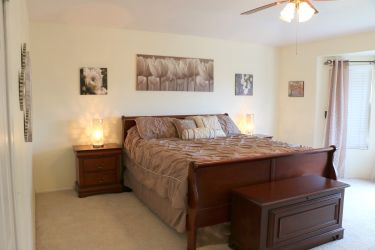 King Comforter Set with Accent Pillows