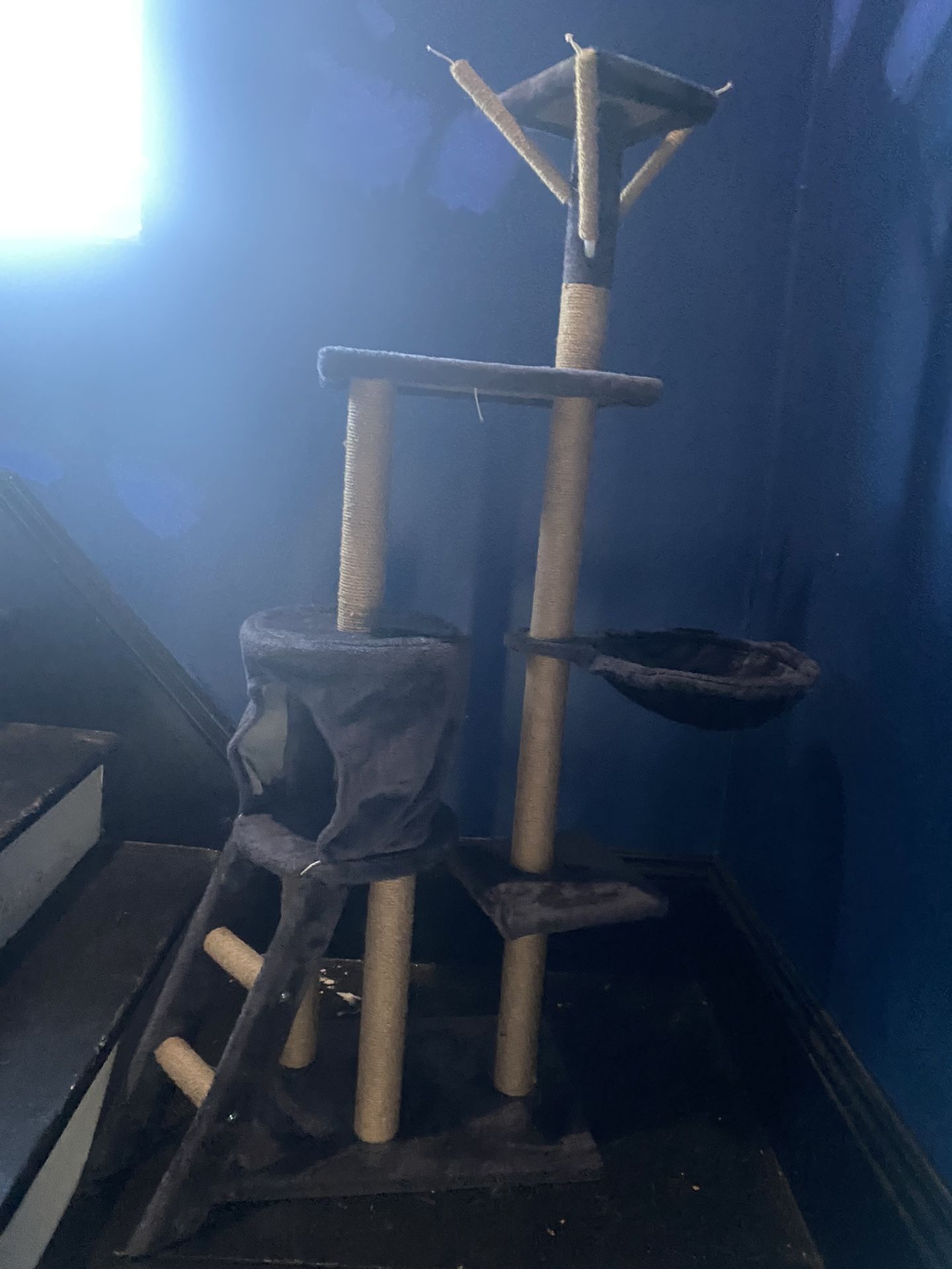 Cat Tower