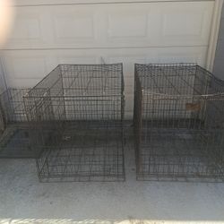 Dog Cage 