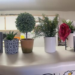 Artificial Plants 