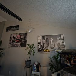 Ikea Picture  Blk And White With Red And Yellow