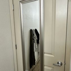 Door Mirror 