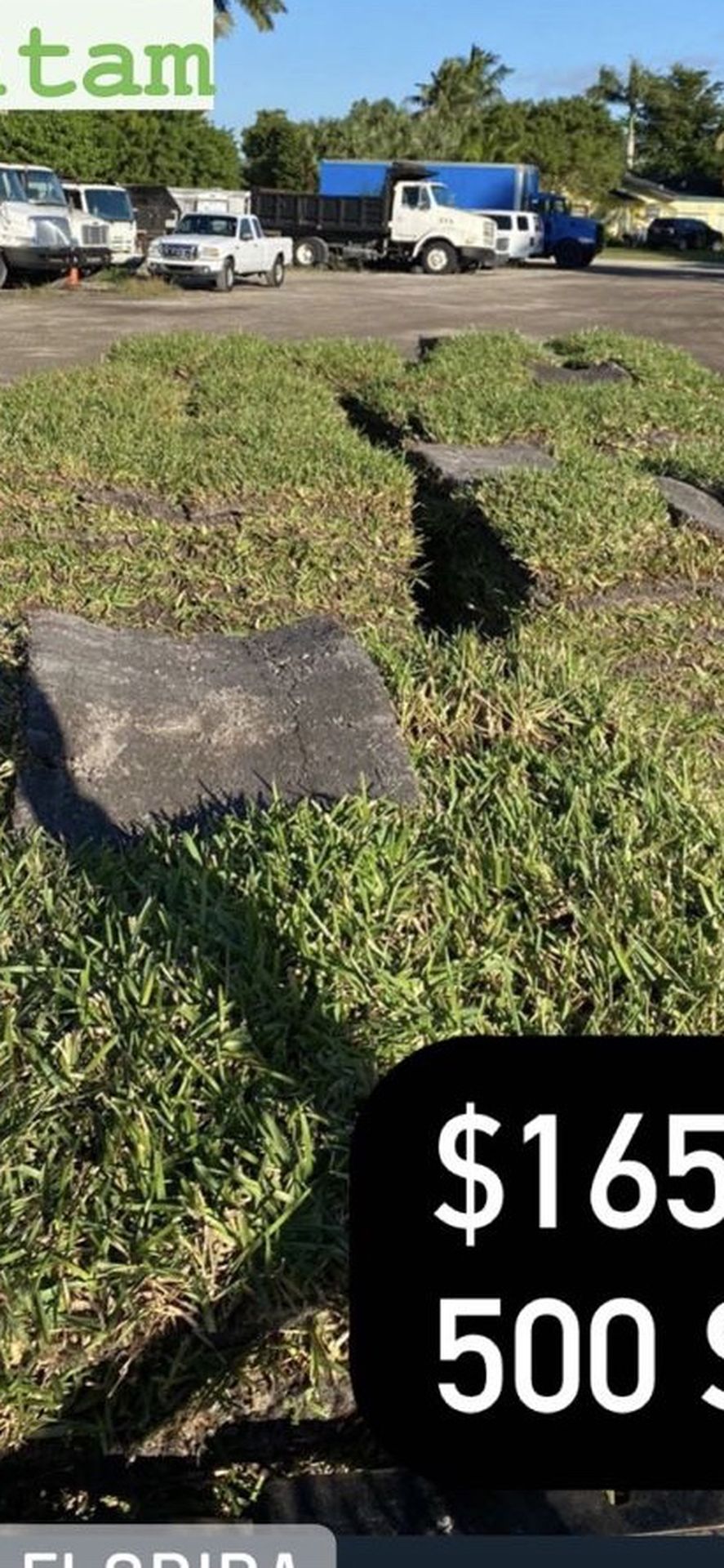 SOD (St. Augustine Floratam) $165 Per Pallet