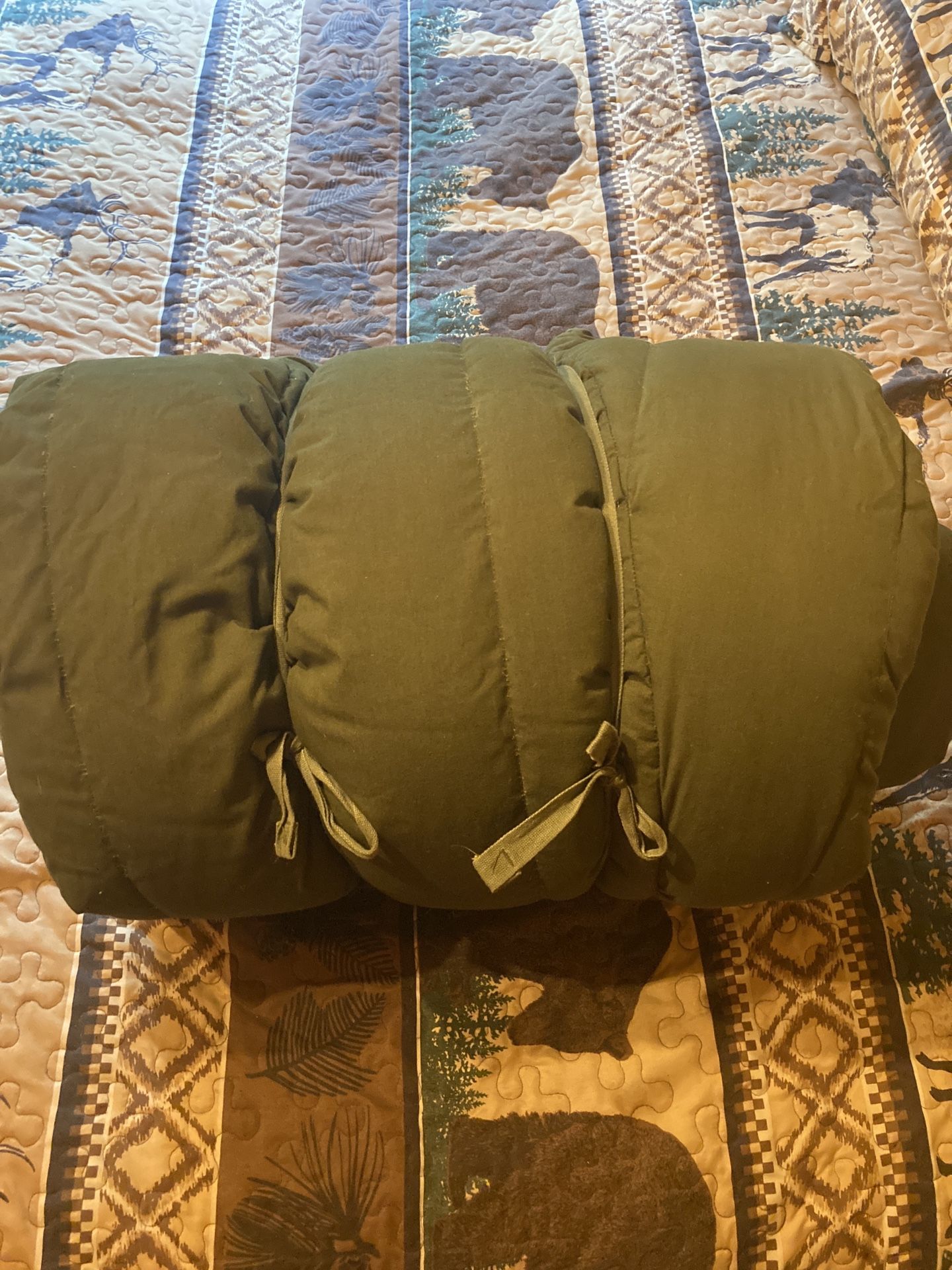 Military issue extreme cold weather sleeping bag