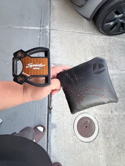 Cobra Driver and Taylormade putter