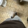 Dtx Reselling Plug