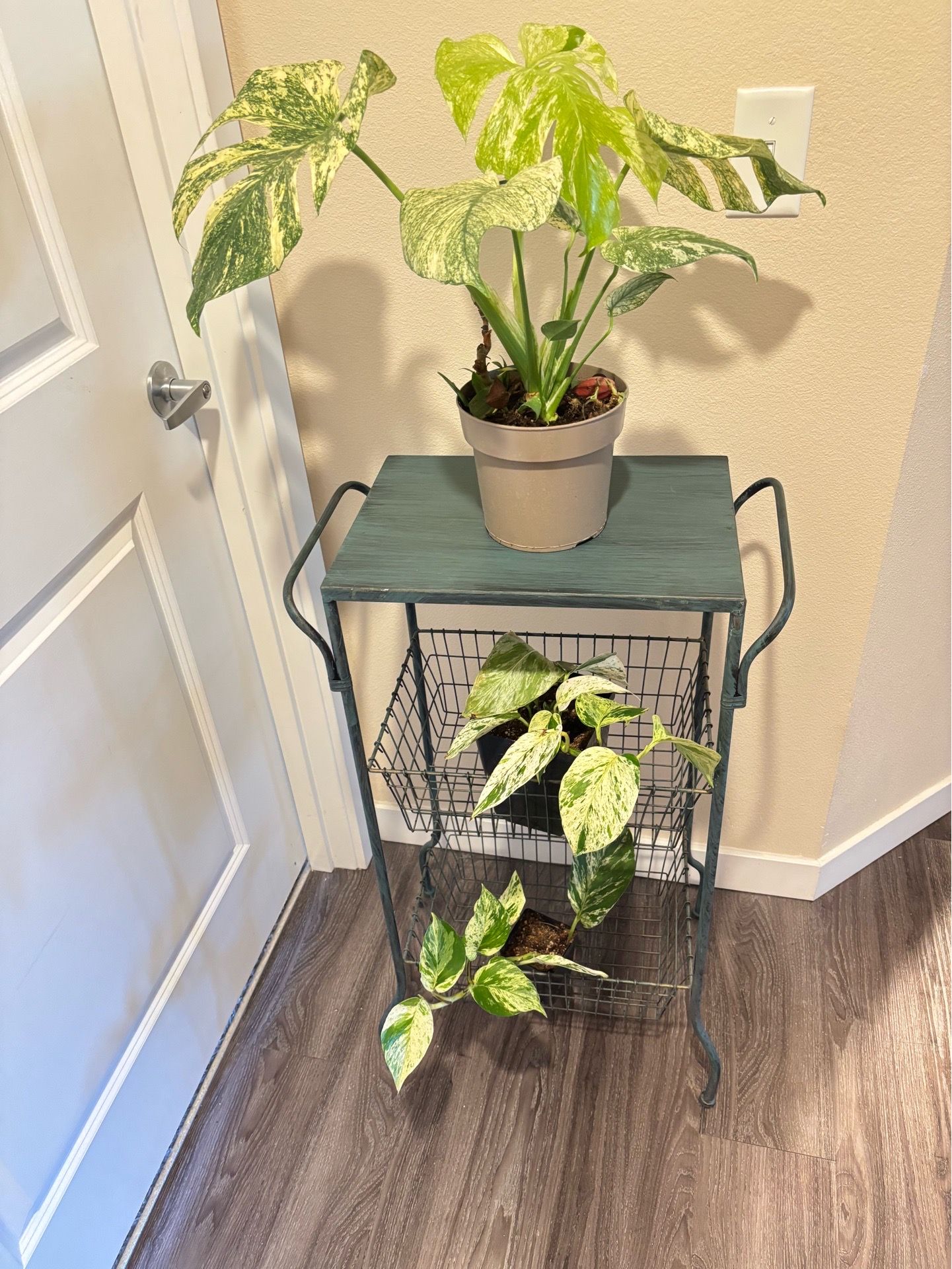 Black Bedside / Side Table/ baskets/ plant stand
