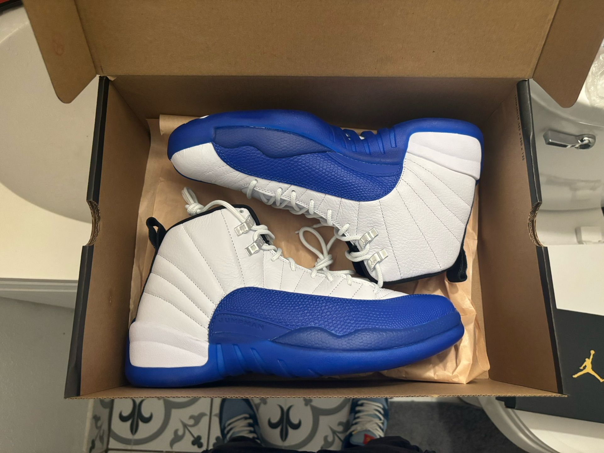 Ds Air Jordan Blueberry 12s Size 9