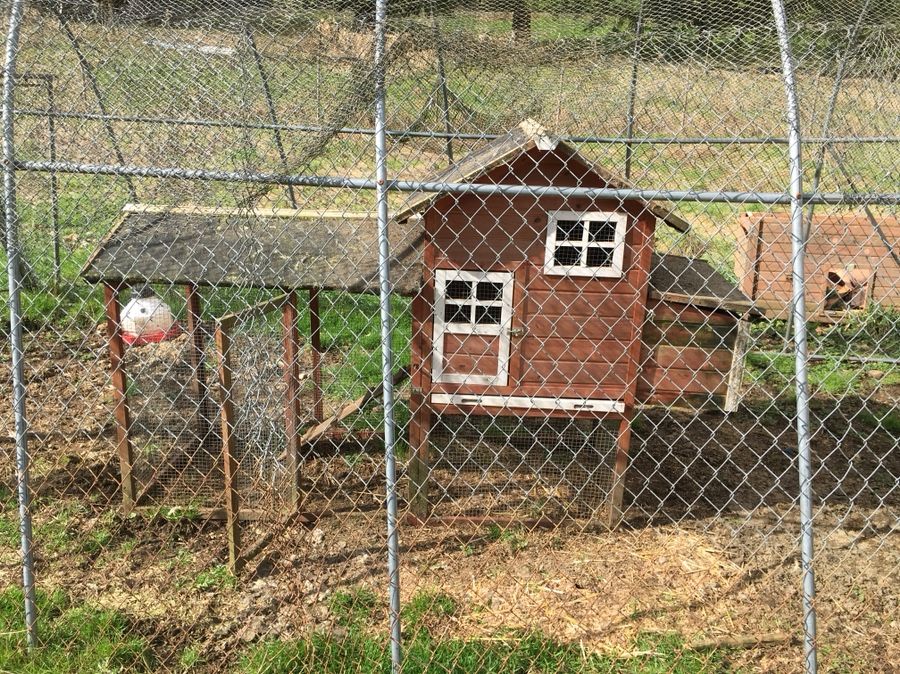 Chicken coop