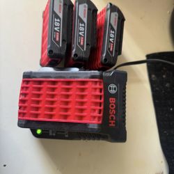 Bosch Battery And Chargers 