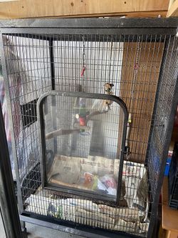 Large Mobile Bird Cage With Decor