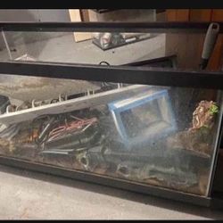 Fish Tank 