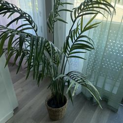 Big artificial Plant 