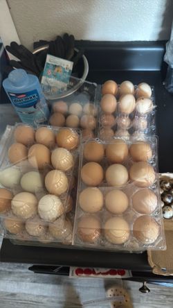 Eggs