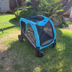Large dog as stroller!