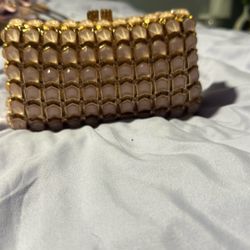 Clutch Purse