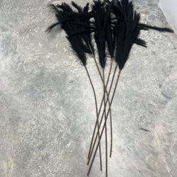 Pampas/ Feather Black