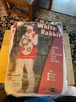 Halloween Costumes