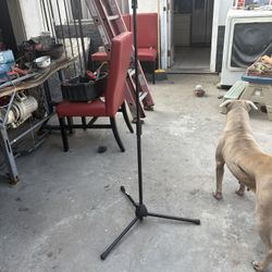 Microphone Stand