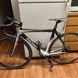 Raleigh Team SL Carbon Lightweight Frame 21”