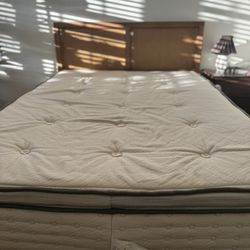 Avocado Mattress Queen