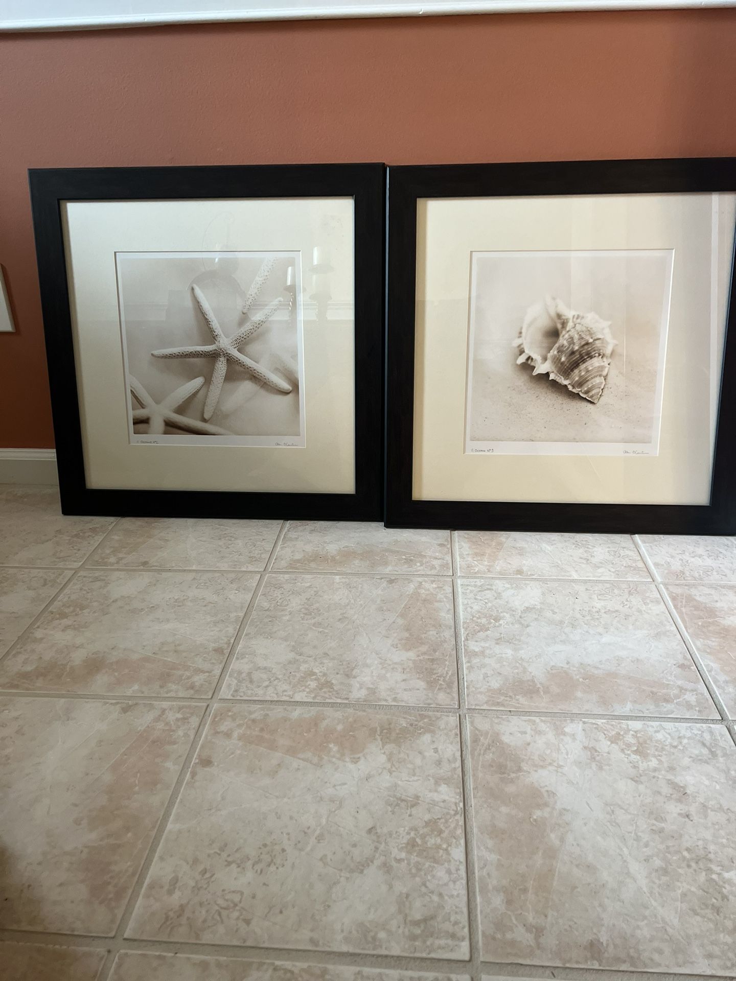 Shell Framed Wall Pictures