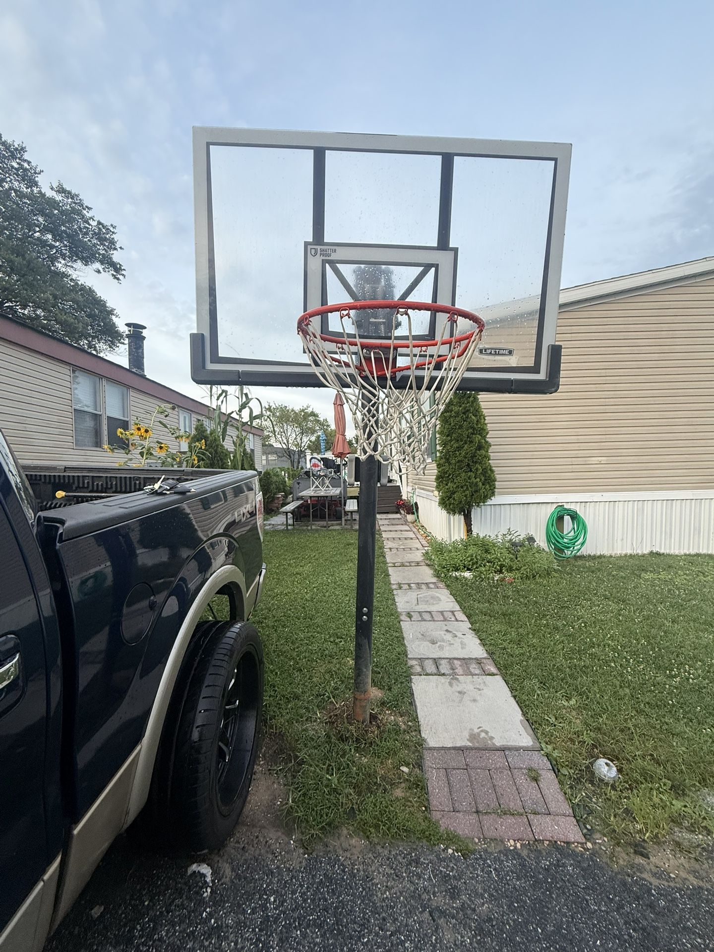 Basketball Hoop 