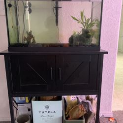 Fish tank and Black stand with storage