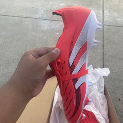 Preds.       Size 9.5