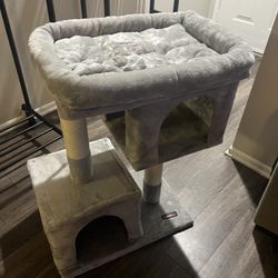 Cat Tree 