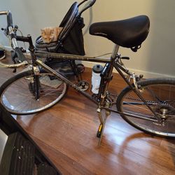 1980s High Sierra Schwinn Steel-framed MTB
