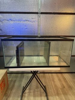 60 gallon aquarium and 40 gallon sump. Free