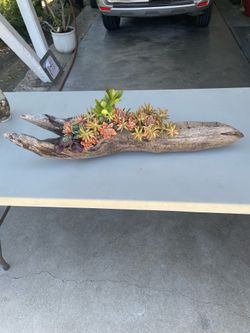 Decorative driftwood