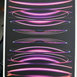 6th Generation iPad Pro 12.9 Inch 