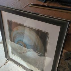 Free large nautilus painting