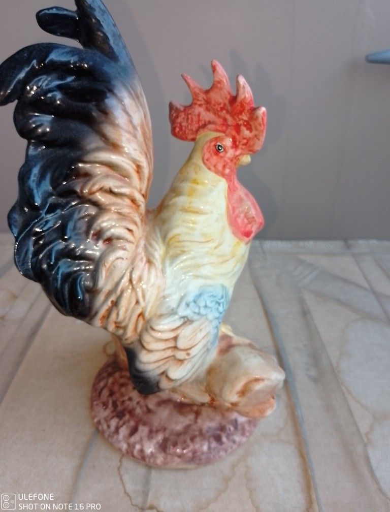 Rooster
