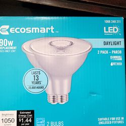 Ecosmart 90w LED Daylight