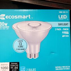 Ecosmart 90w LED Daylight