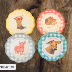 Pioneer Woman Coaster Set 