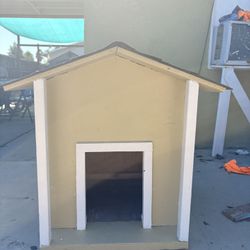 Dog House 