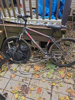 Nishiki Mountain Bike