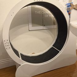 Cat Wheel 