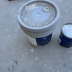 5 gallon in 1 gallon, gray in color