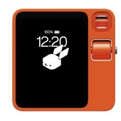 Rabbit r1 AI Pocket Companion - Leuchtorange - 128GB - New in Box