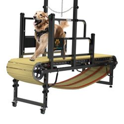 Dog Treadmill 