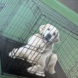 Small Dog Crate 