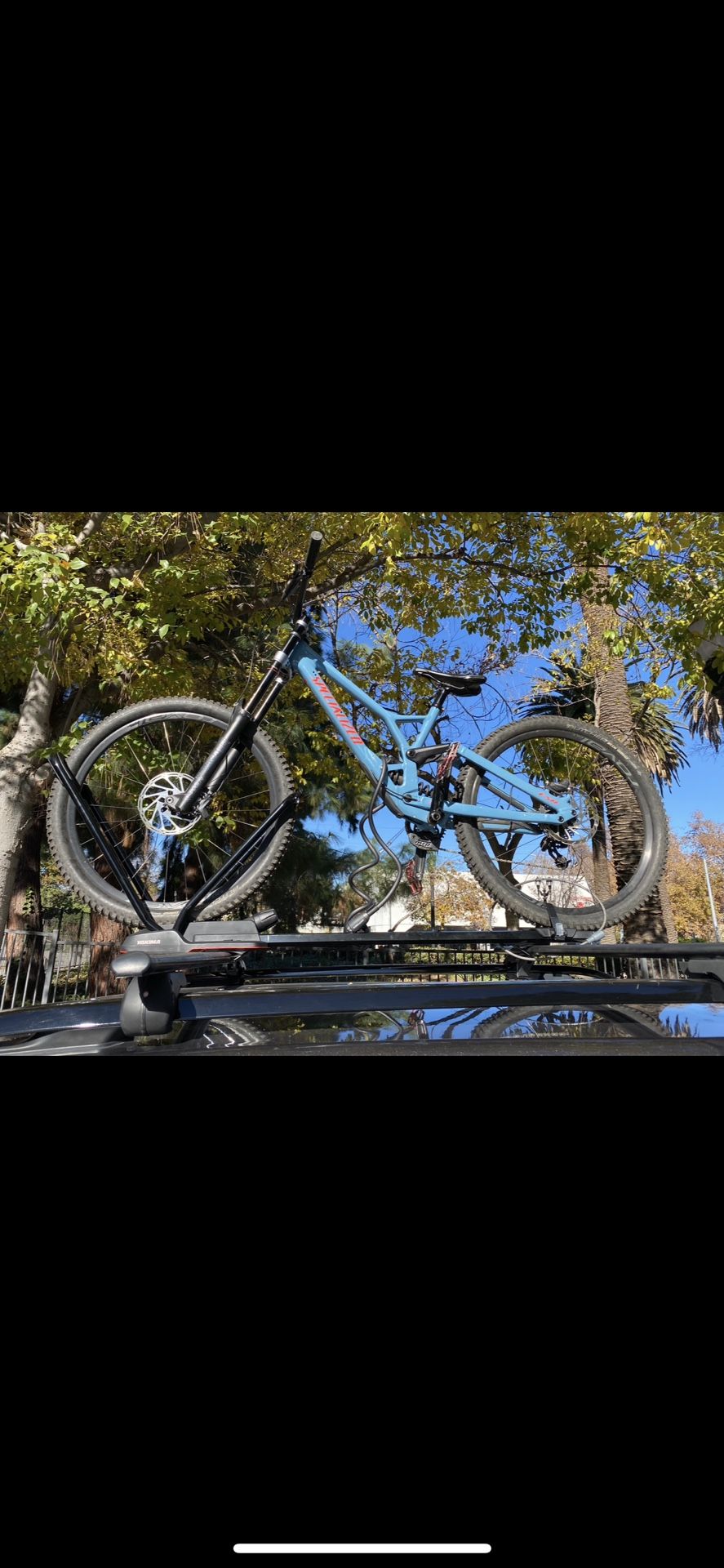2019 Specialized Demo 29