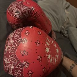 Custom boxing gloves 